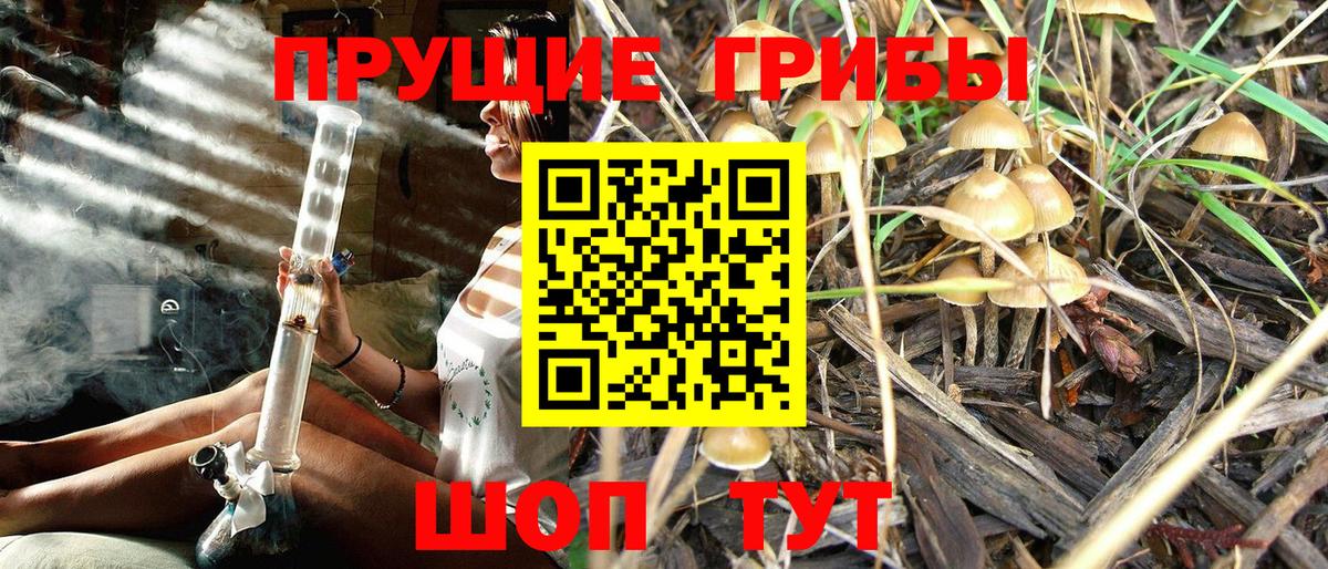 Галлюциногенные грибы MAGIC MUSHROOMS  Вход с VPN  Аша 