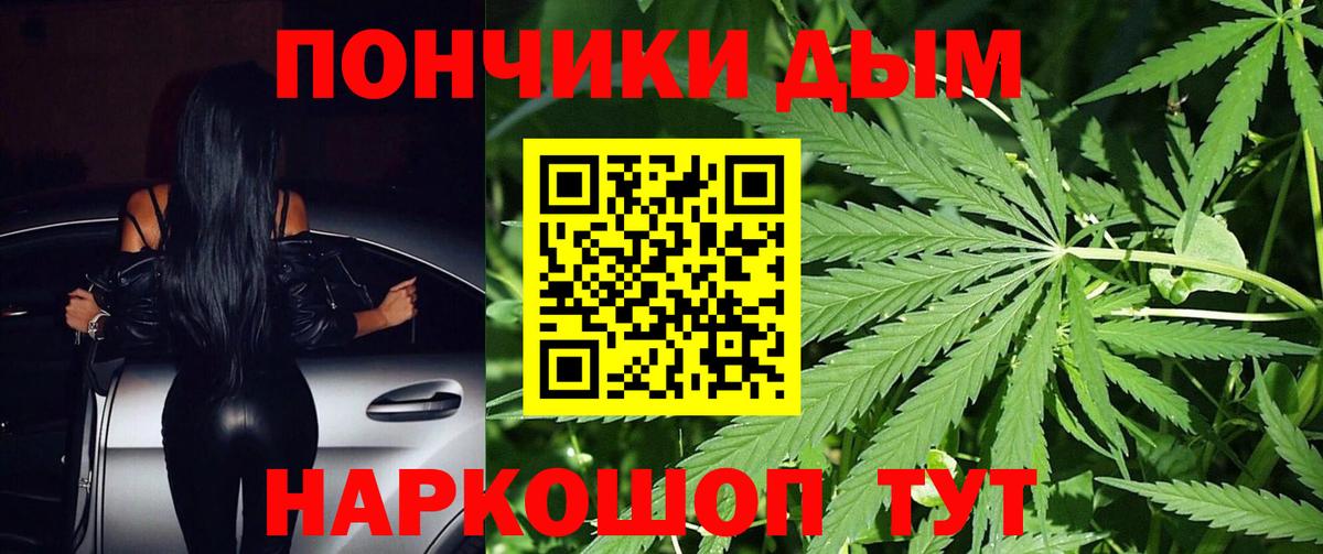 Канабис конопля  Каннабис AK-47  Конопля сатива  Аша  Вход с VPN 